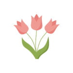 flat icon on white background tulip blooms . 8 March . Women's spring day. Eps 10